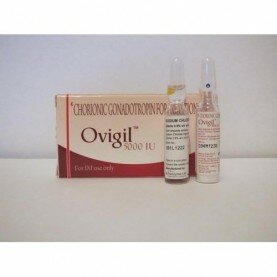 Ovigyn
